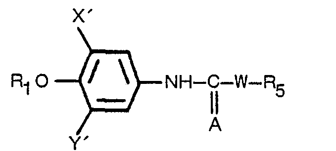 Figure imgb0134