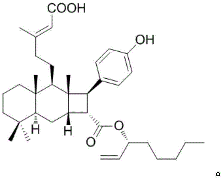 Figure BDA0002909977240000021