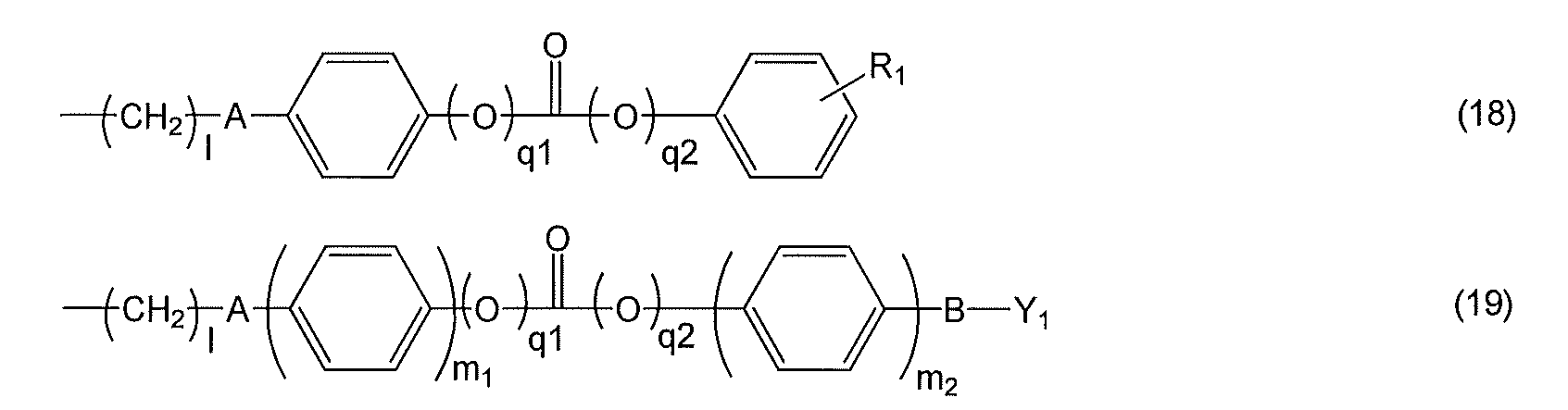 Figure JPOXMLDOC01-appb-C000022