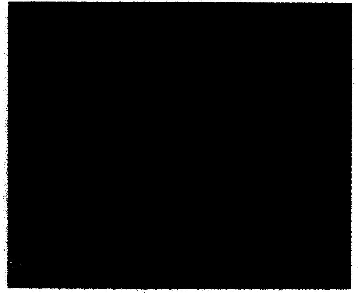 Figure 200610030360