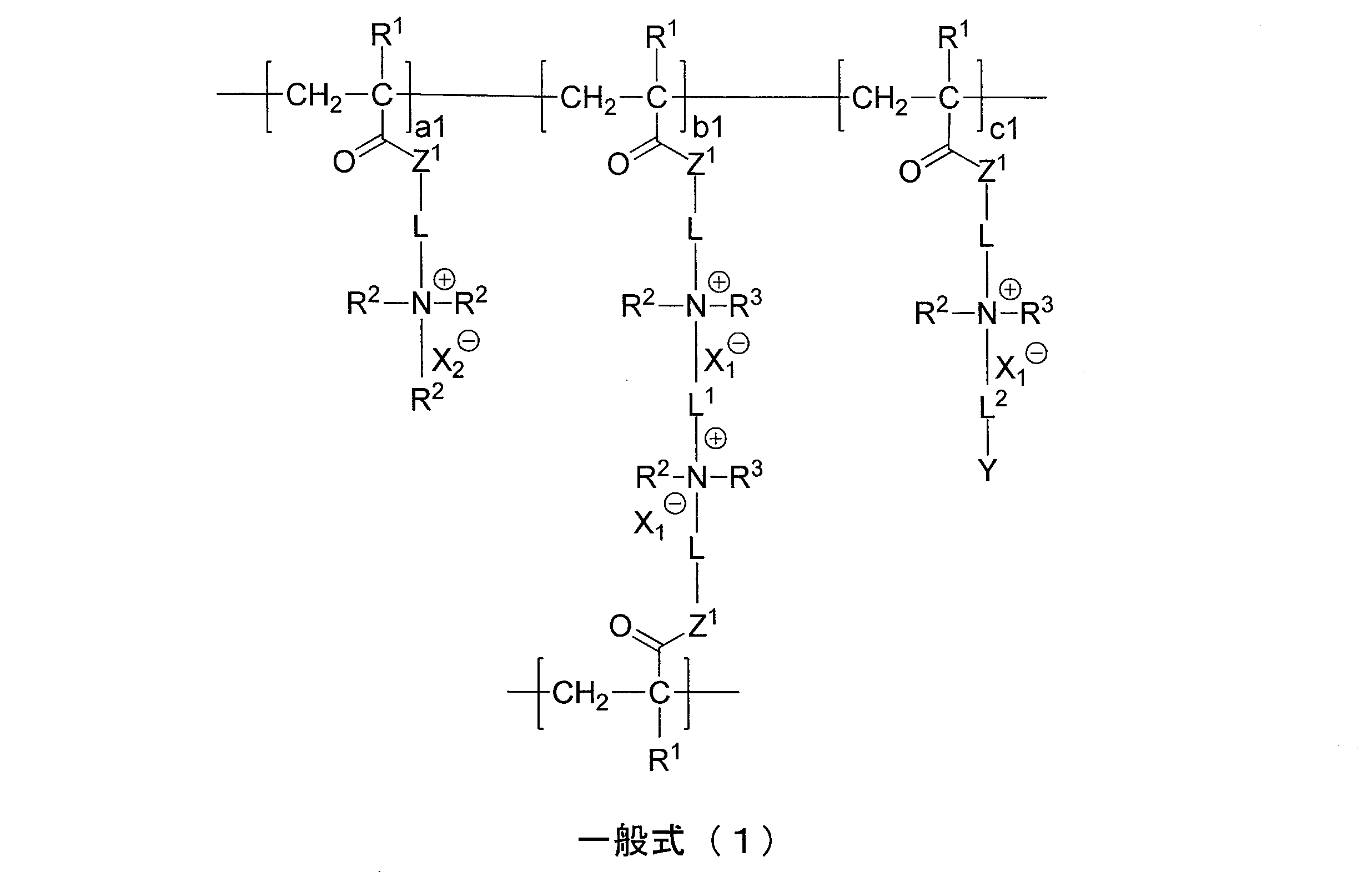 Figure JPOXMLDOC01-appb-C000010
