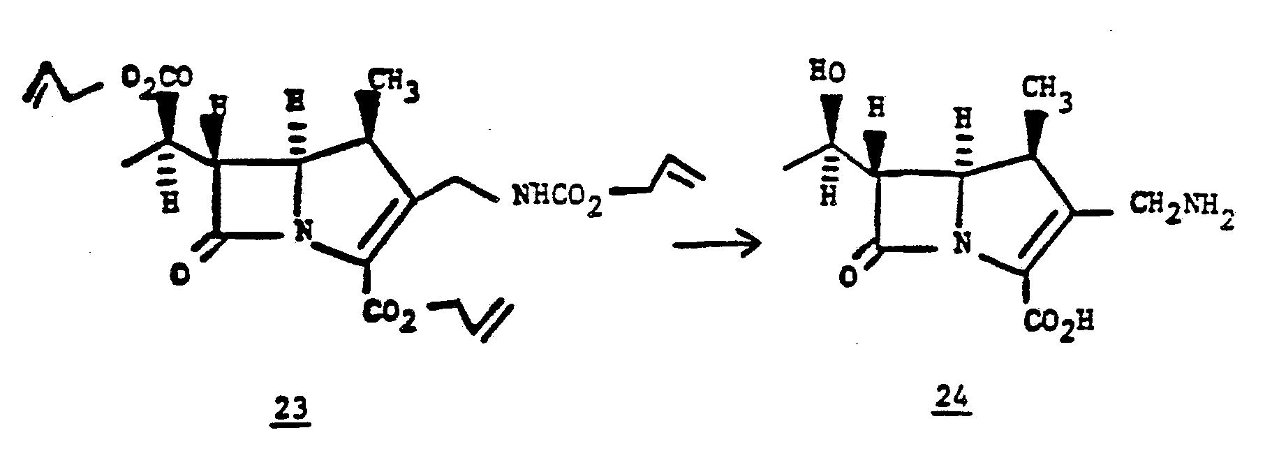 Figure imgb0048