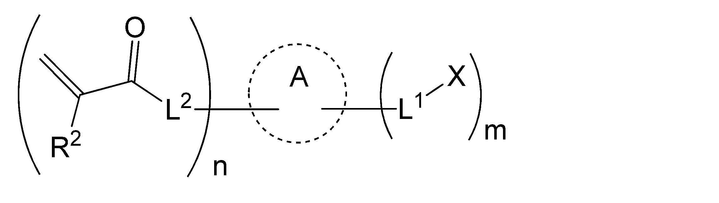 Figure JPOXMLDOC01-appb-C000002