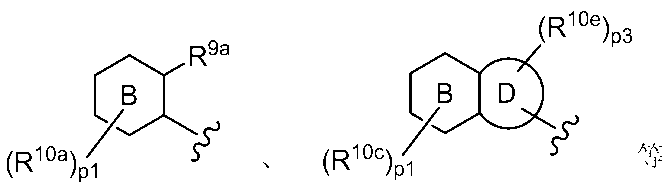 Figure JPOXMLDOC01-appb-C000093
