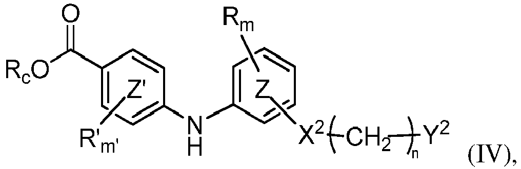 Figure imgb0174
