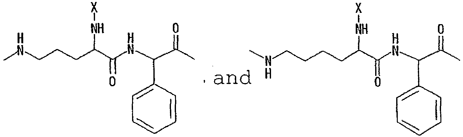 Figure imgb0045