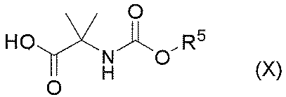 Figure JPOXMLDOC01-appb-C000058