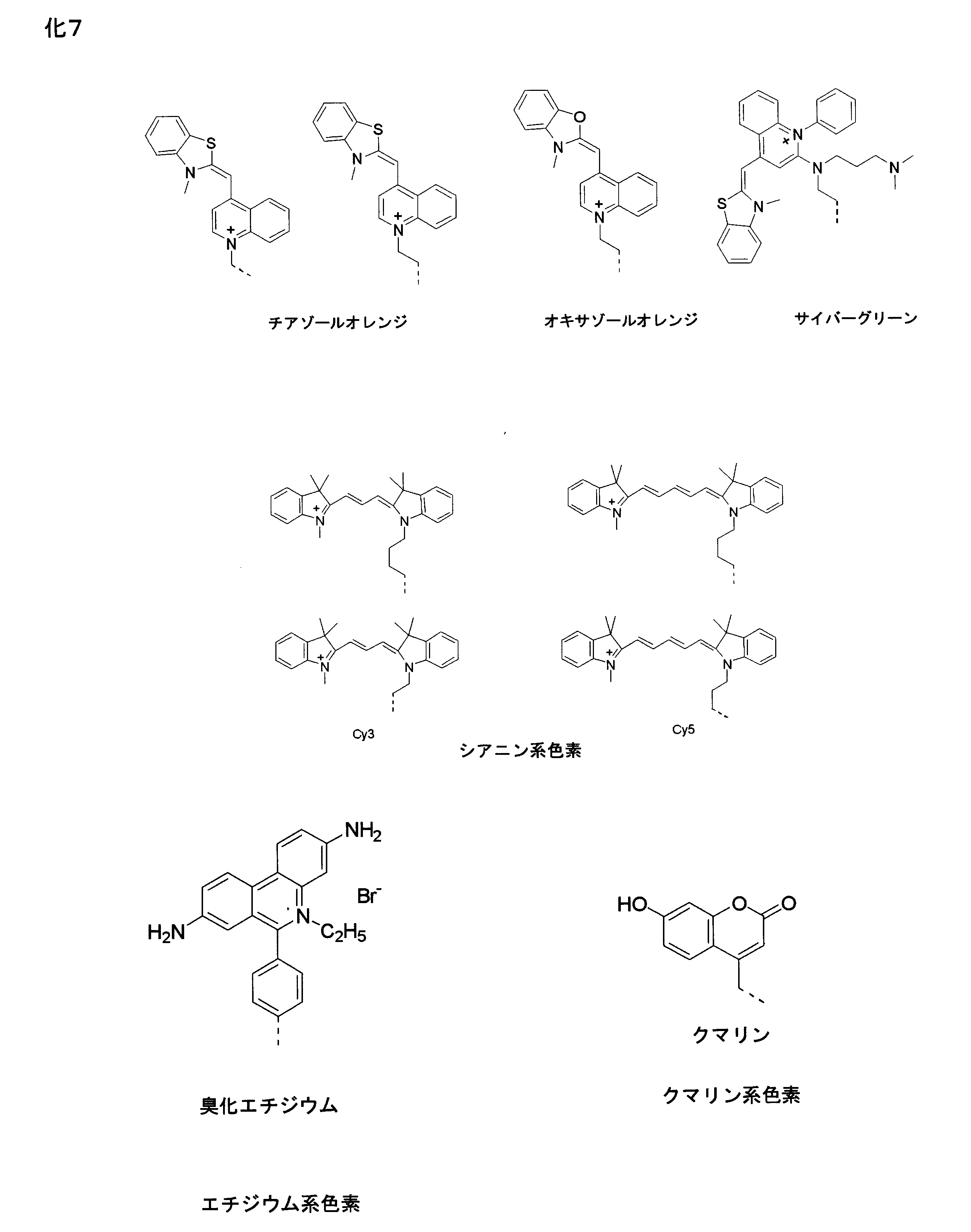 Figure JPOXMLDOC01-appb-C000009