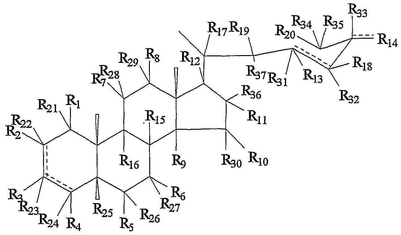 Figure imgf000013_0002
