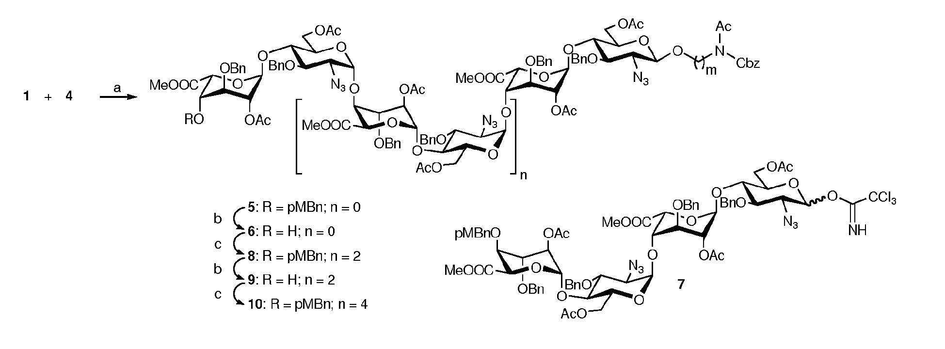 Epa1 Conjugated Molecules Comprising A Peptide Derived From The Cd4 Receptor Coupled To A Polyanion For The Treatment Of Aids Google Patents