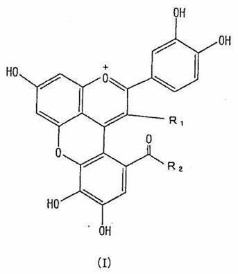 Figure JPOXMLDOC01-appb-C000013