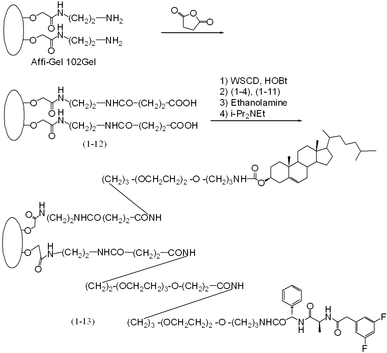 Figure JPOXMLDOC01-appb-C000025