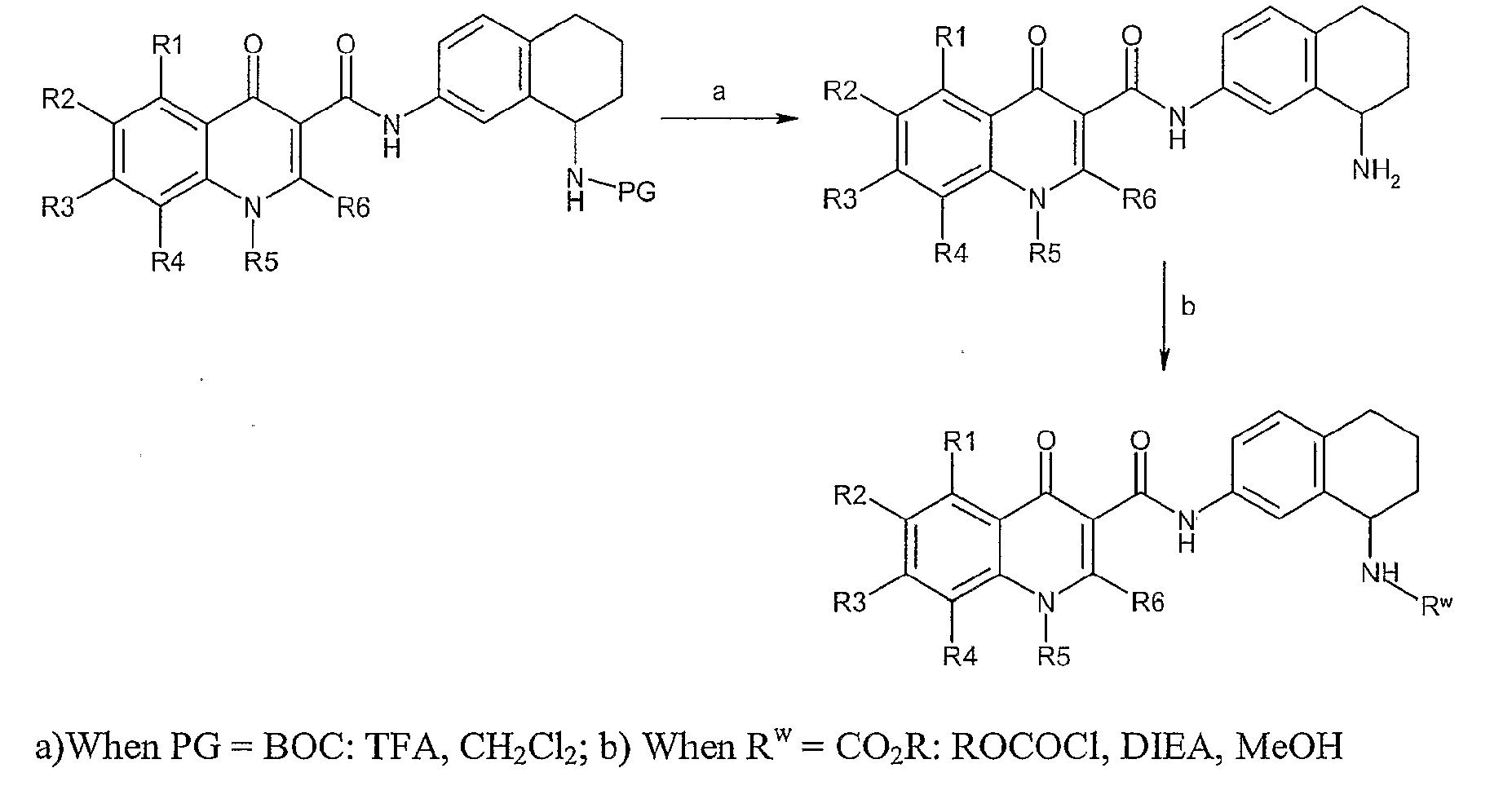 Figure imgb0113