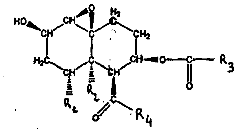 Figure imgb0011