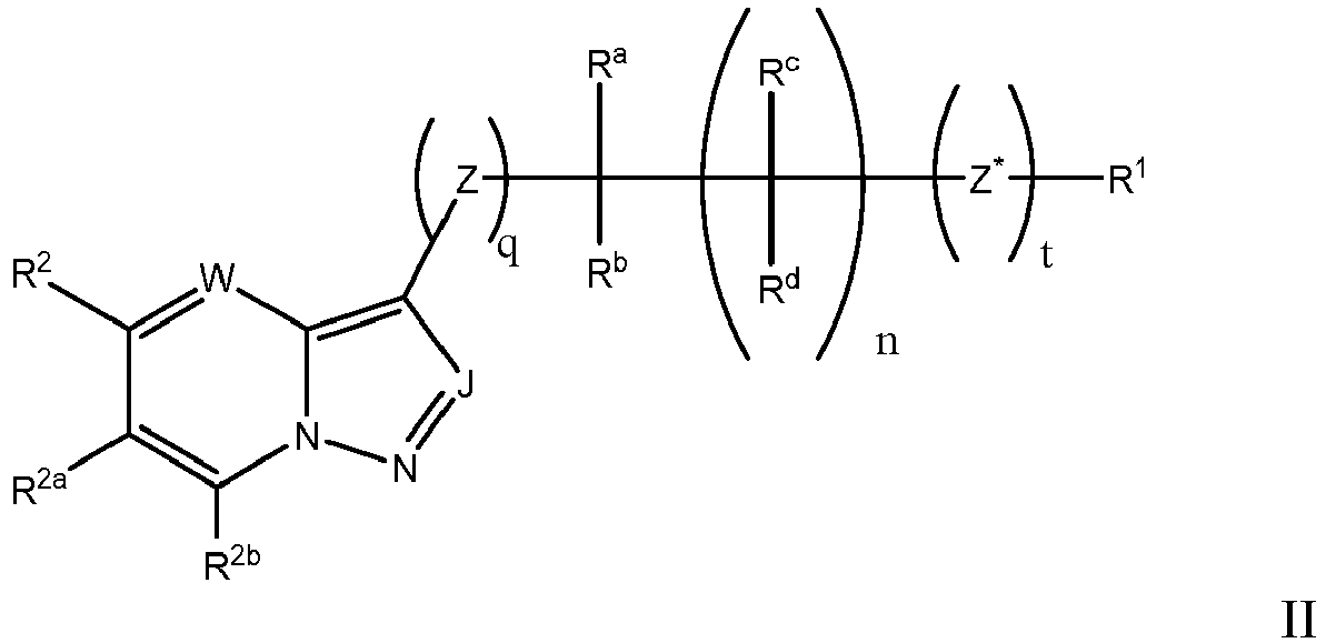 Figure imgb0506