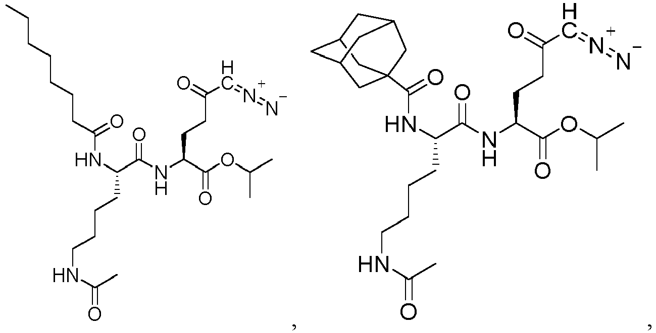 Figure imgb0084