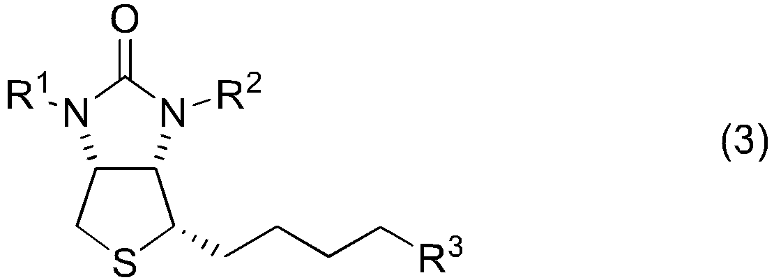 Figure imgb0023