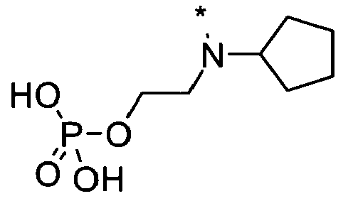 Figure imgb0064