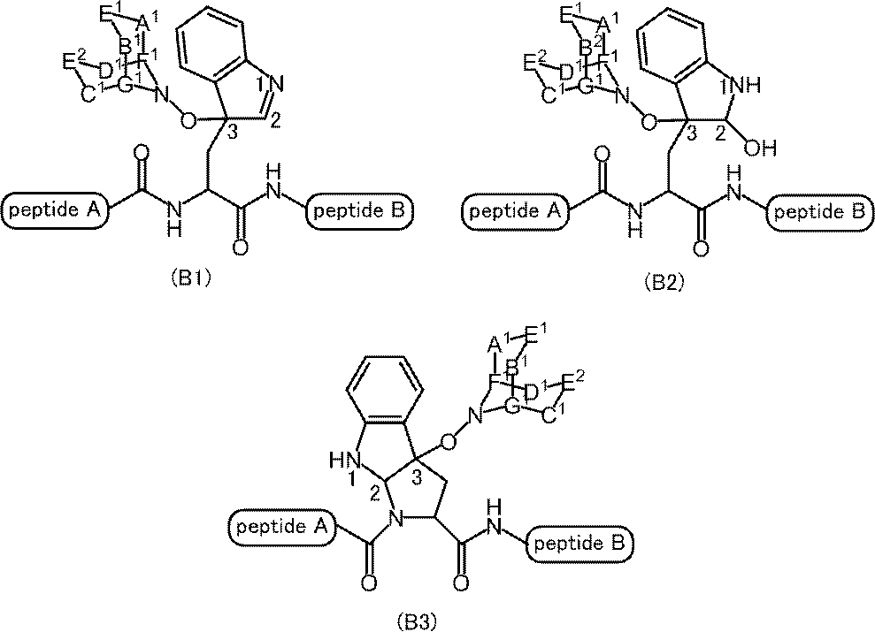 Figure JPOXMLDOC01-appb-C000009