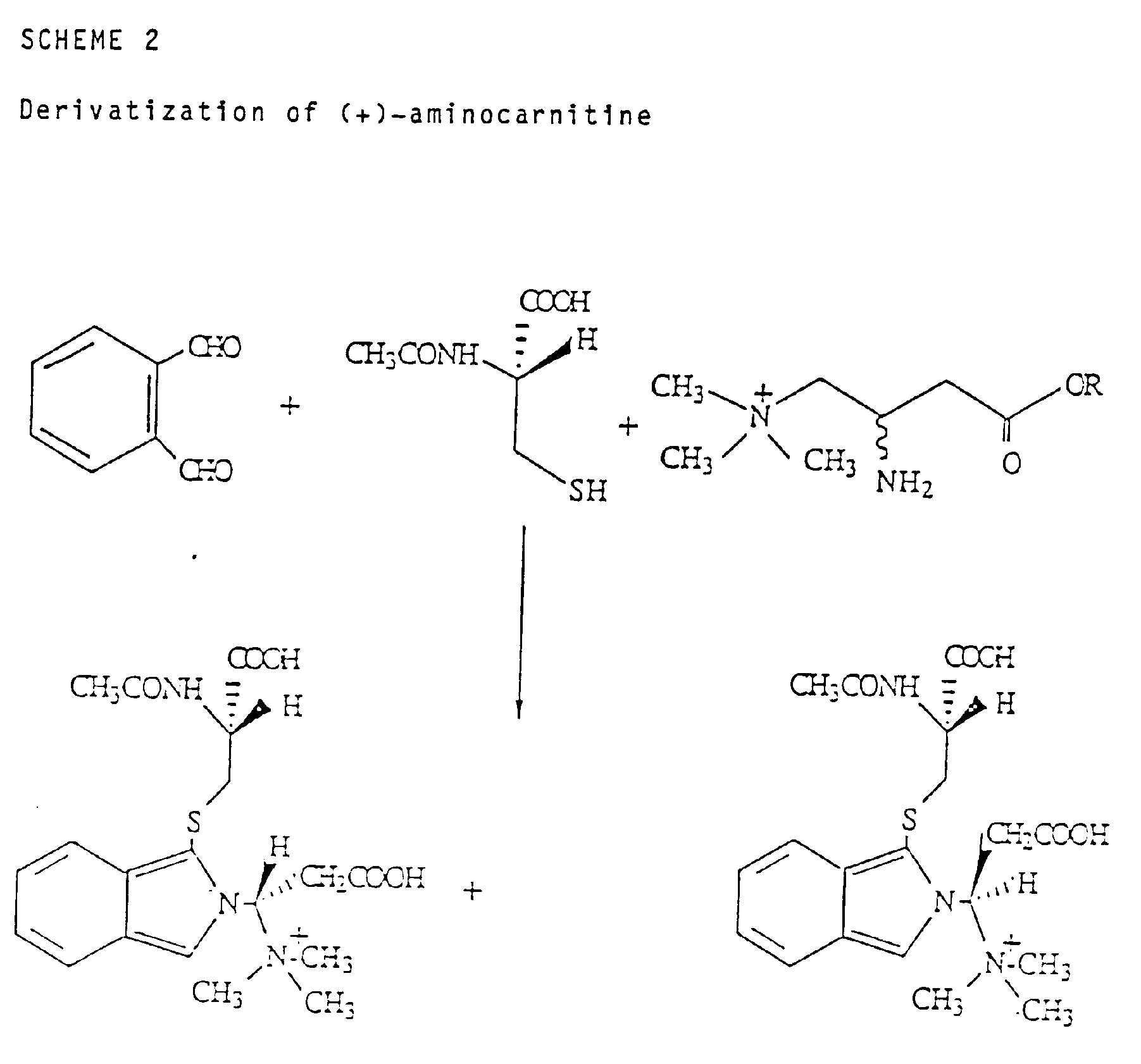 Figure imgb0010