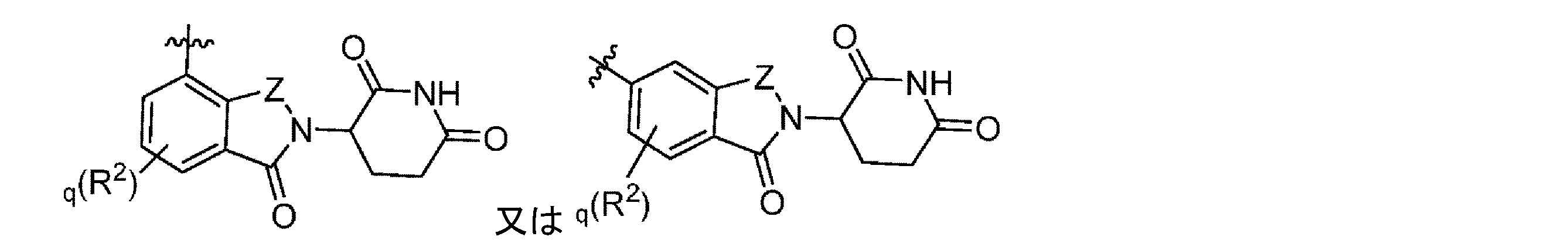 Figure 0007600123000256