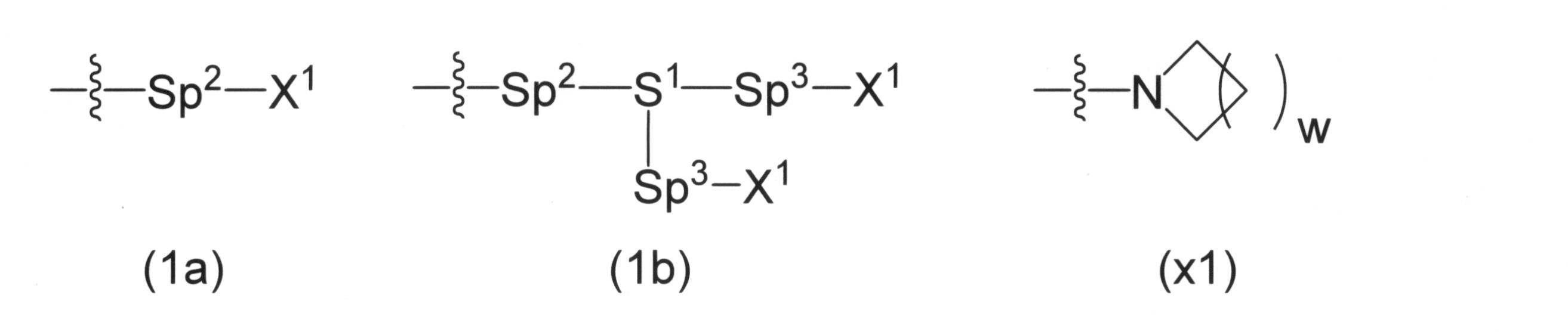 Figure JPOXMLDOC01-appb-C000013