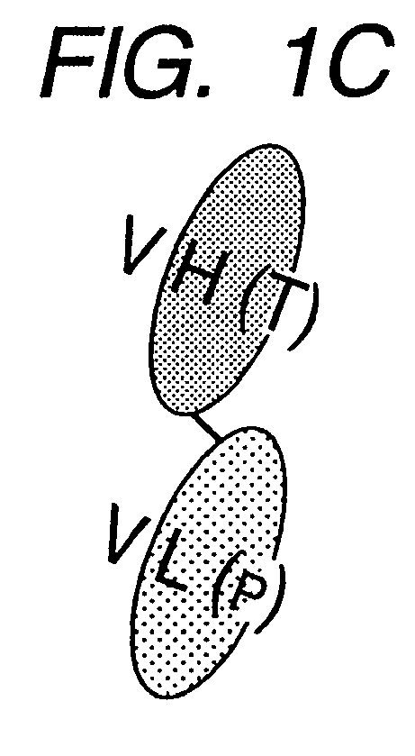 Figure imgaf003