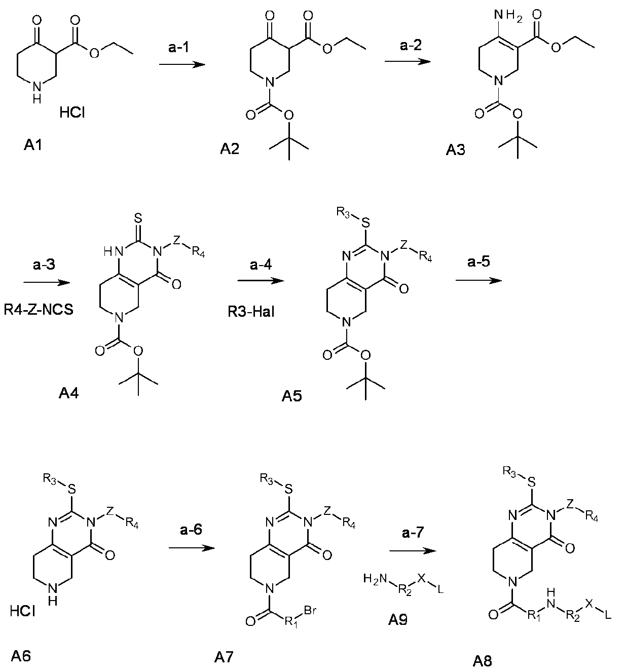 Figure JPOXMLDOC01-appb-C000024