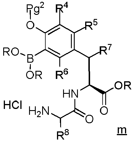 Figure imgb0002