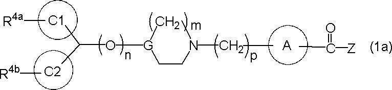 Figure JPOXMLDOC01-appb-C000018