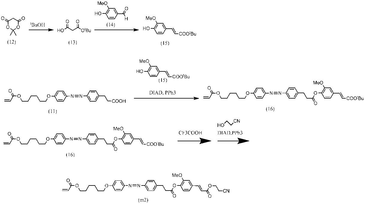 Figure JPOXMLDOC01-appb-C000055