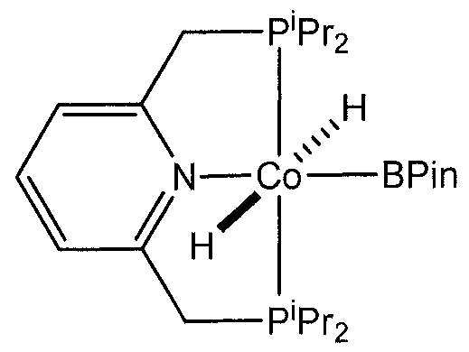 Figure imgf000041_0002