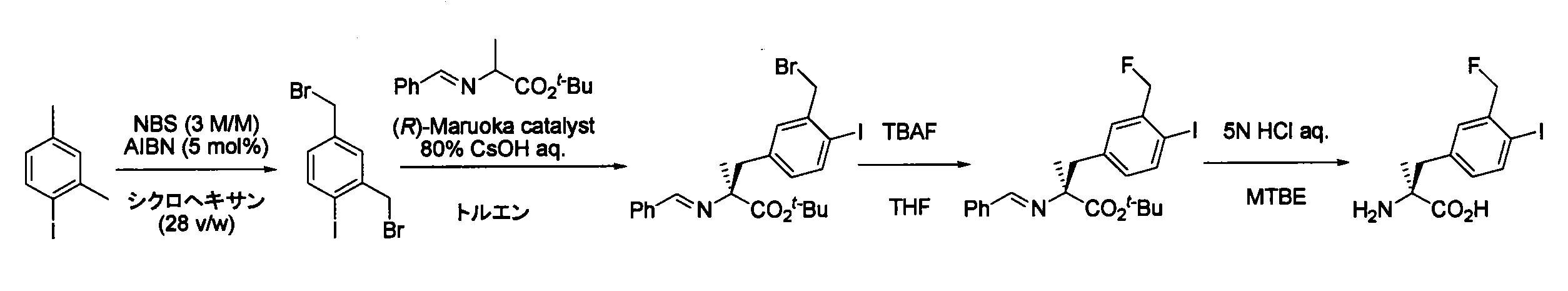 Figure JPOXMLDOC01-appb-C000050