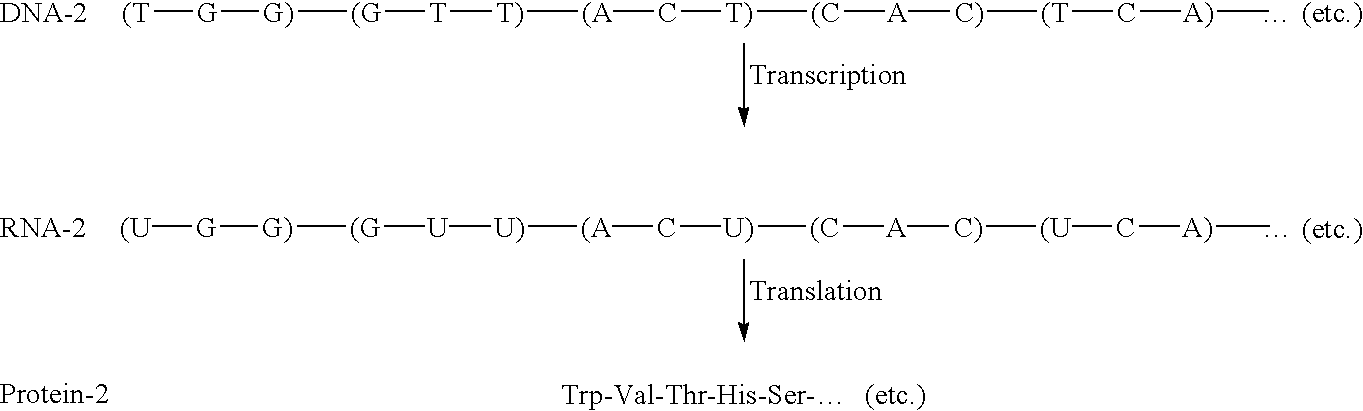 Figure US20030190749A1-20031009-C00003