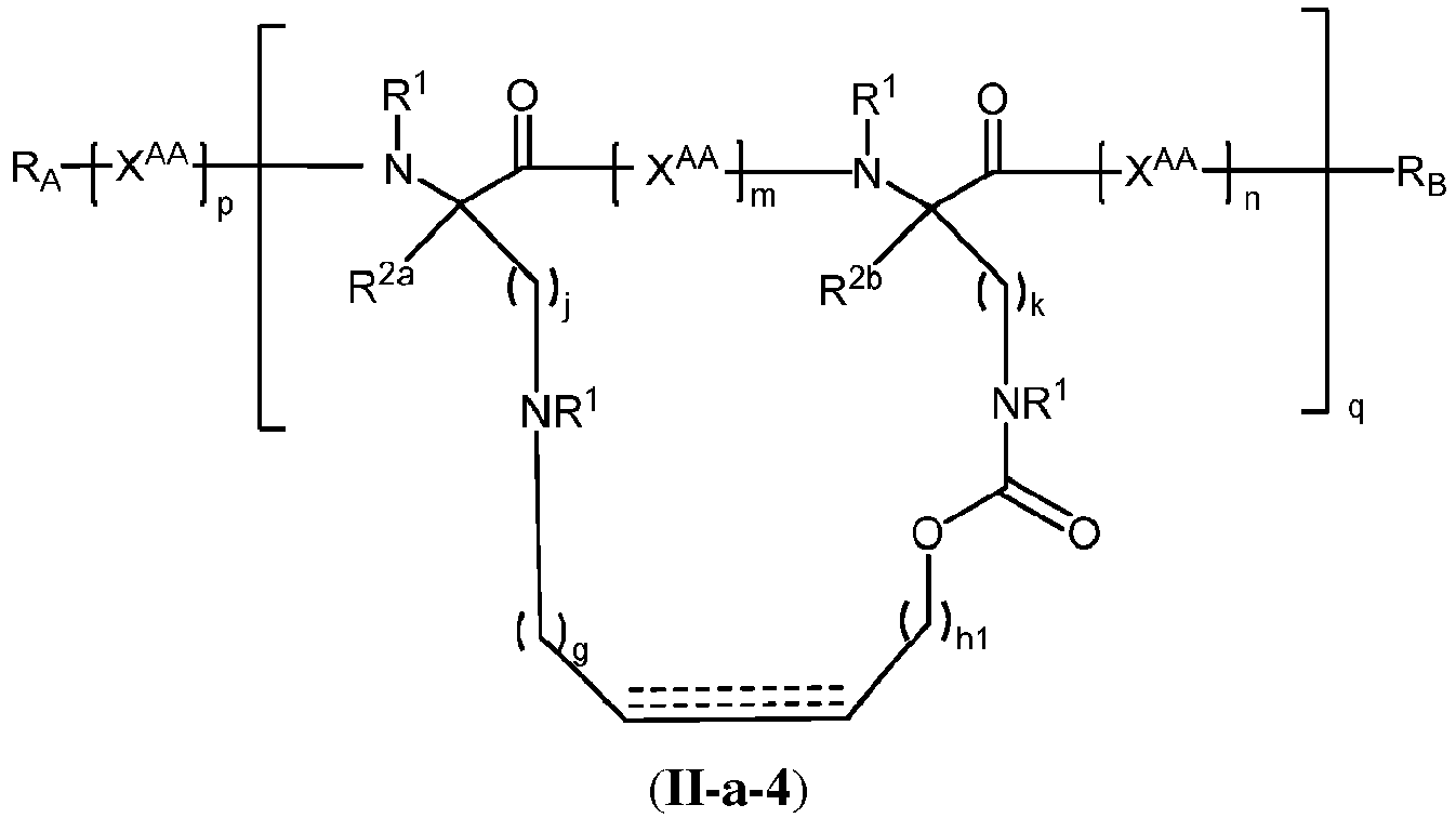 Figure imgb0108