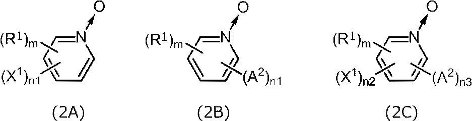 Figure JPOXMLDOC01-appb-C000043