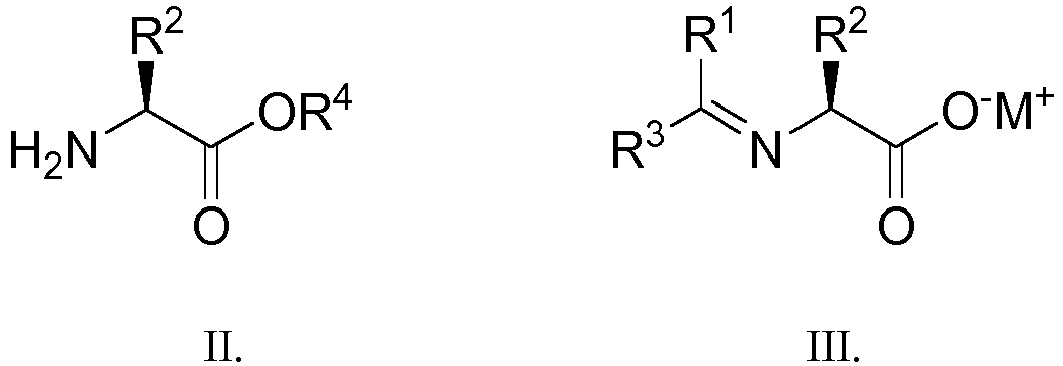 Figure imgb0028