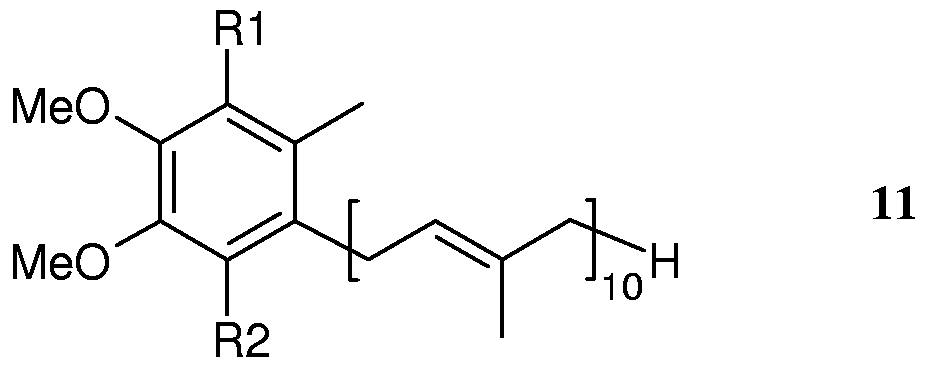 Figure imgf000018_0004