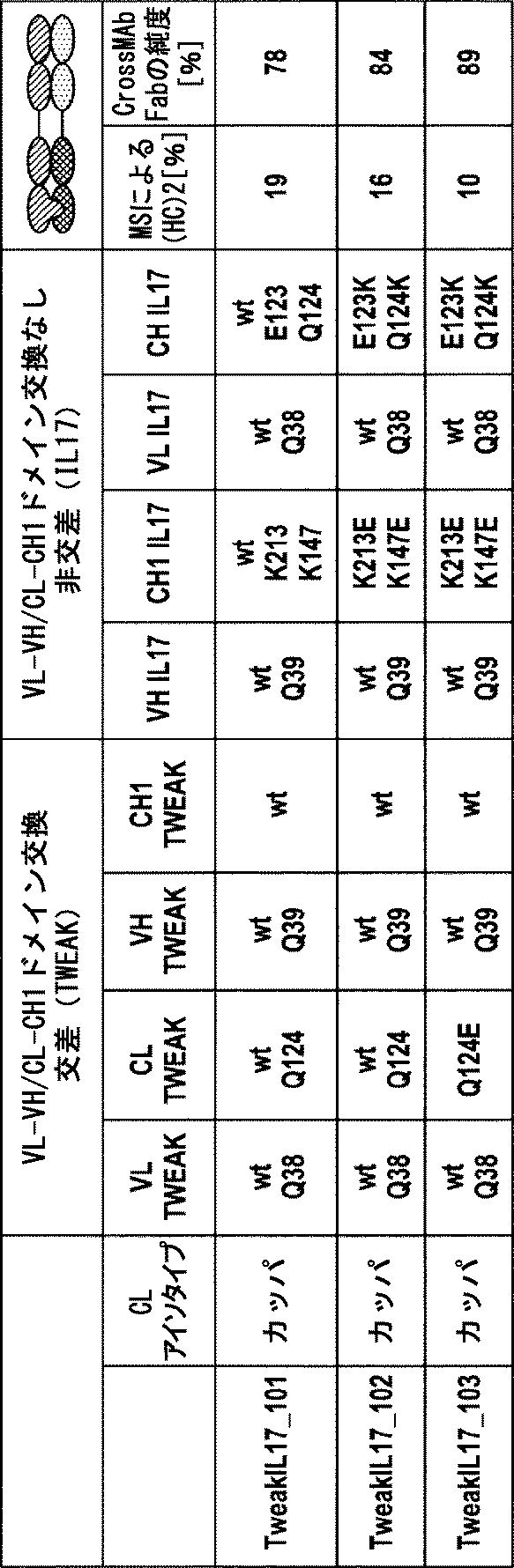 Jpa Multispecific Antibody Google Patents Jpa Multispecific Antibody Google Patents