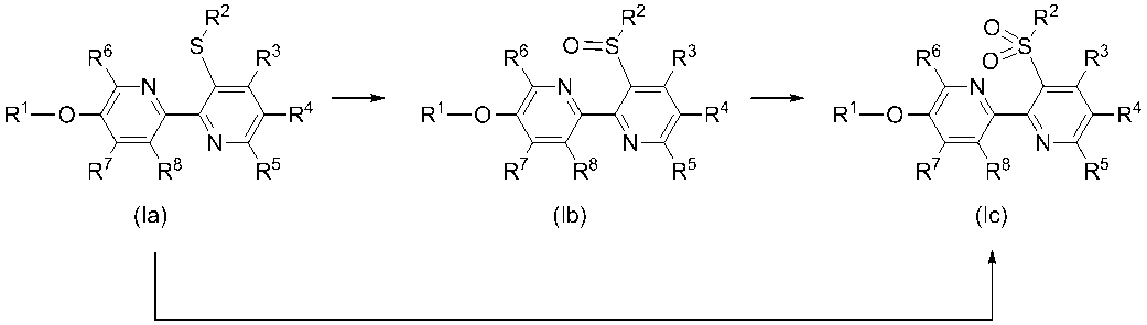 Figure JPOXMLDOC01-appb-C000007