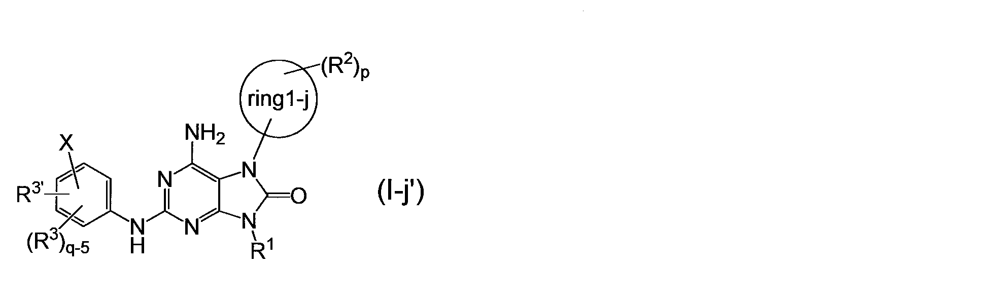Figure JPOXMLDOC01-appb-C000023