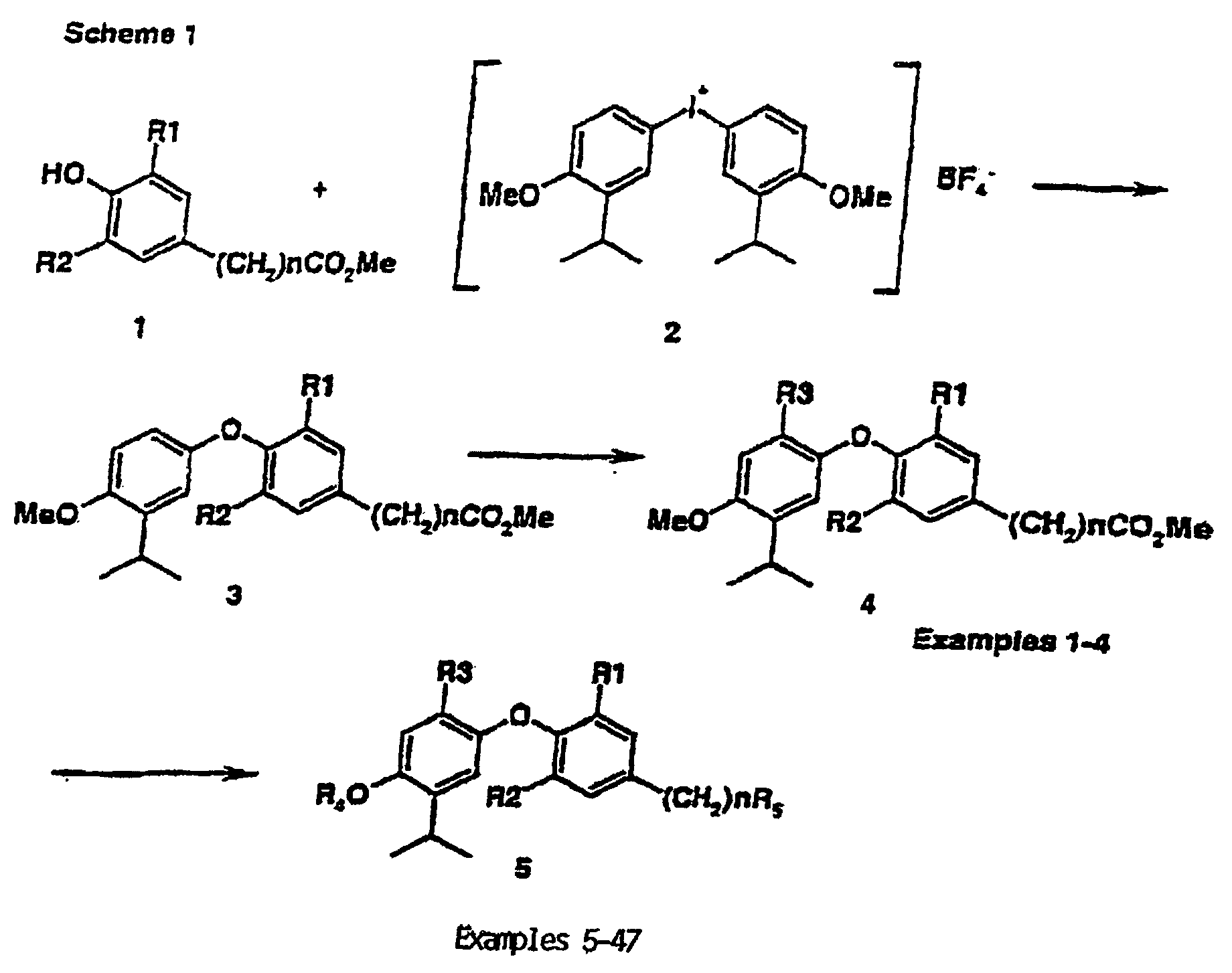 Figure 00100001