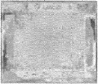 Figure imgb0010
