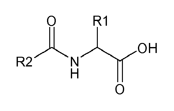 Figure imgb0004