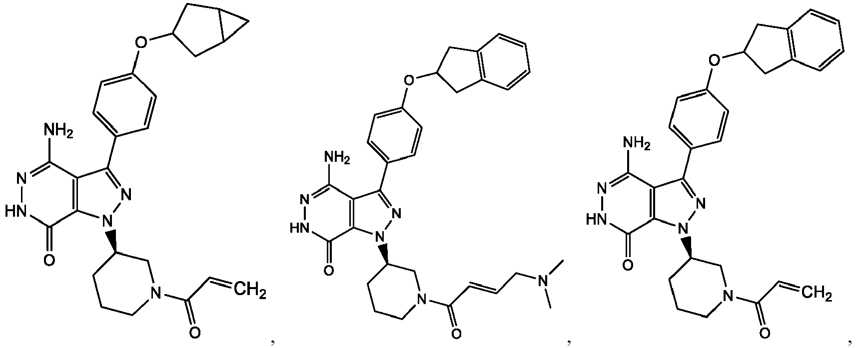Figure imgb0010