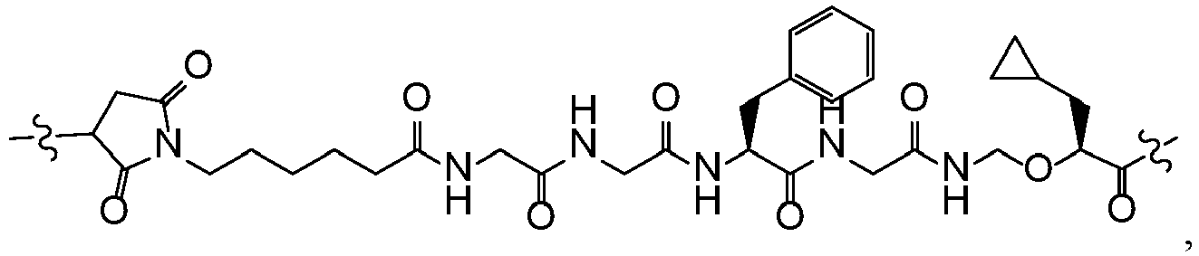 Figure imgb0024