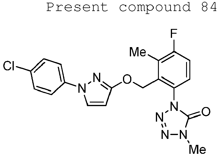 Figure imgb0248