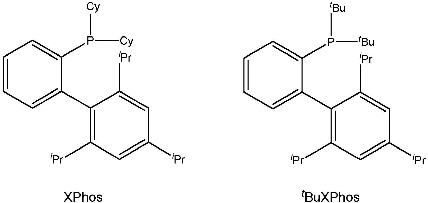Figure imgb0010
