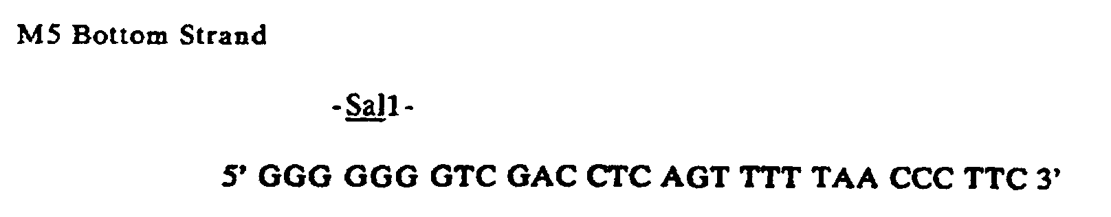 Figure 00200004