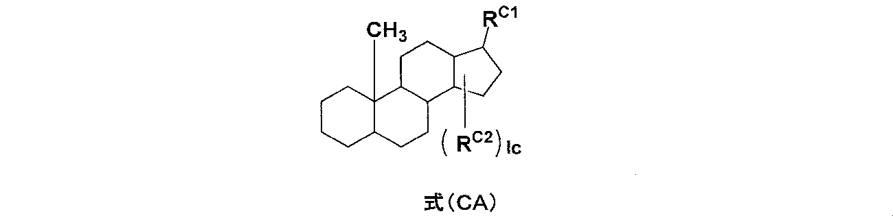 Figure JPOXMLDOC01-appb-C000005